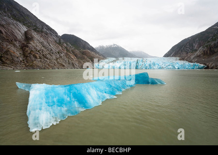 Glacier Dawes, Endicott Arm, le passage de l'intérieur, le sud-est de l'Alaska, l'Alaska, USA, Amérique du Nord Banque D'Images