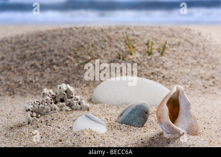 Plage de la côte de la mer du Nord, au Danemark Banque D'Images