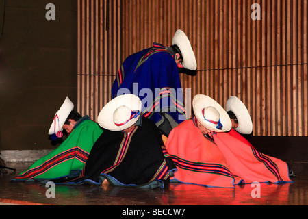 Ballet folklorique équatorienne, Ballet Folclorico Nacional, Quito, Ecudor Banque D'Images