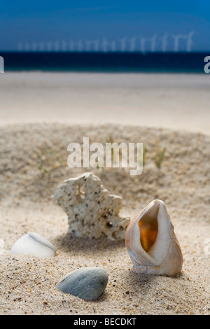 La plage d'Amager Strandpark, Copenhague, Danemark, Europe Banque D'Images