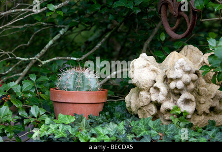 Melocactus, striées, une floraison en forme de boule cactus du Mexique dans un pot à côté d'un jardin de sculpture. Banque D'Images