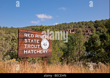 Écloserie de truite de l'état de la rivière Rouge près de Red River, au Nouveau-Mexique. Banque D'Images