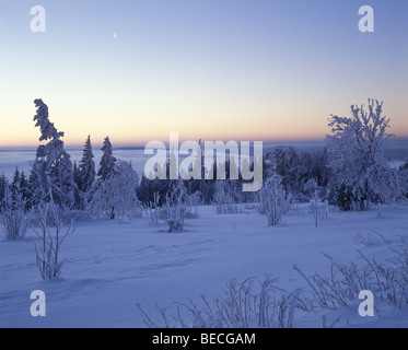 Schliffkopf montagne en hiver avant le lever du soleil, Forêt-Noire, Bade-Wurtemberg, Allemagne, Europe Banque D'Images