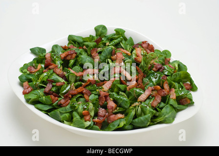 Salade de champ (Valerianella locusta) avec bacon grillé Banque D'Images