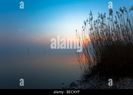 L'humeur du matin au lac de Constance à Kreuzlingen, Suisse Banque D'Images