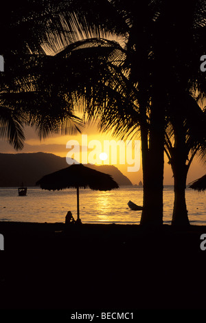 Coucher du soleil sous les palmiers, Playa Medina Beach sur la côte des Caraïbes près de Carupano, Sucre, Venezuela, mer des Caraïbes, l'Amérique du Sud Banque D'Images