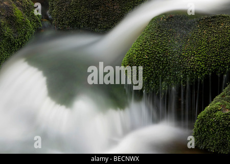 Cascades le Kleine Ohe River, Bavaria, Germany, Europe Banque D'Images