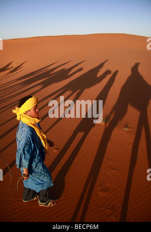 Touareg, ou l'homme bleu du désert conduit les chameaux transportant les touristes à travers les dunes de l'Erg Chebbi près de Merzouga, Maroc Banque D'Images