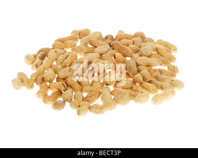 Monkey Nuts Banque D'Images