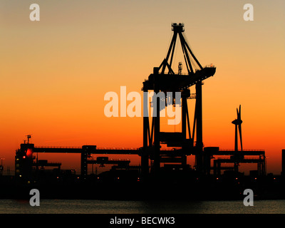 Container terminal Altenwerder de nuit (Port de Hambourg, Allemagne) Banque D'Images