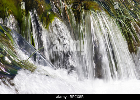 L'eau, les chutes de Krka, Parc National de Krka, Dalmatie, Croatie, Europe Banque D'Images