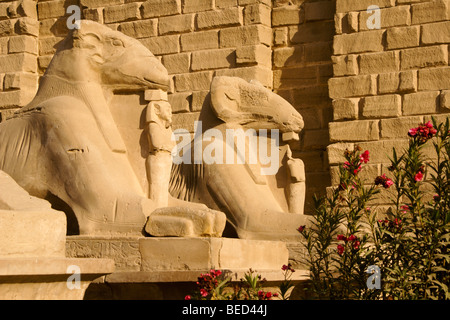 Sphinx à tête de bélier à Karnak Temple, Luxor, Egypt Banque D'Images