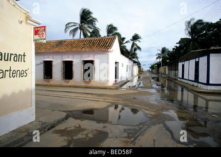 Route avec de simples maisons, de style colonial, Adicora, Peninsula de Paraguana, Falcon, des Caraïbes, le Venezuela, l'Amérique du Sud Banque D'Images