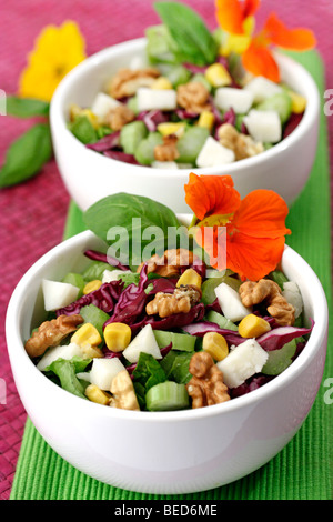 Salade de chou rouge au tofu et noix. Recette disponible. Banque D'Images