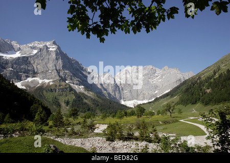 Vue depuis la Engalm alpage d'un sycomore (Acer pseudoplatanus) dans le Grosser Ahornboden, gamme Karwendel dans fra, Tyro Banque D'Images