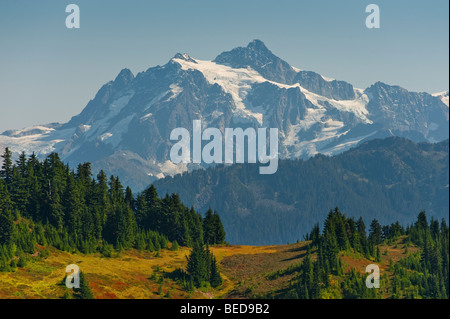 L'Excelsior Ridge trail dispose de fabuleuses vues sur le Mt. Baker et Mt. Shuksan trouvé dans le Mt. Baker National Forest. Banque D'Images