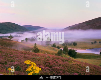 L'humeur du matin à Dee Vallée avec rivière Dee, Braemer, Ecosse, Royaume-Uni, Europe Banque D'Images