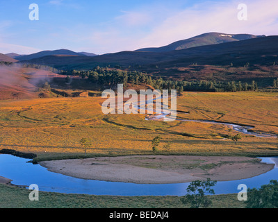 L'humeur du matin à Dee Vallée avec rivière Dee, Braemer, Ecosse, Royaume-Uni, Europe Banque D'Images