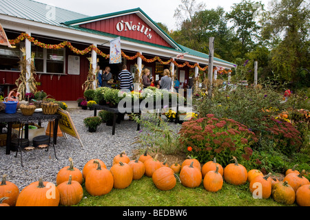 Les foules en file d'attente pour les beignets de pomme à O'Neill's Orchard farm stand Lafayette, l'État de New York, comté d'Onondaga Banque D'Images