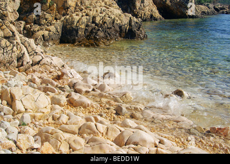 Kiesel am Strand - galet sur la plage 26 Banque D'Images