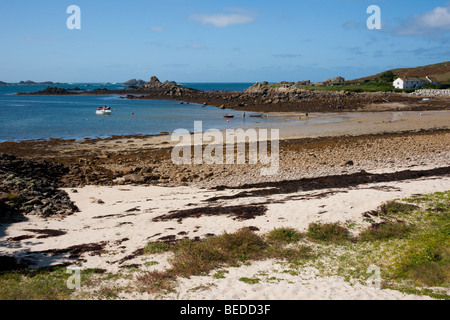 Grande sur Porth Bryher, Isles of Scilly Banque D'Images