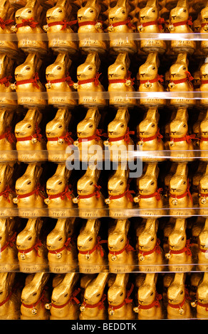 Lapins de pâques en chocolat sont alignés sur une étagère, Nuremberg, Middle Franconia, Bavaria, Germany, Europe Banque D'Images