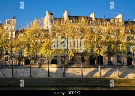 Côté QUAI, ILE DE LA CITÉ, PARIS Banque D'Images