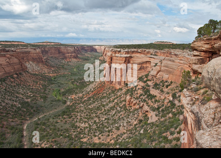 Colorado National Monument vue de Rim Rock Drive Ute Canyon View situées près des villes de Fruita et Grand Junction Banque D'Images