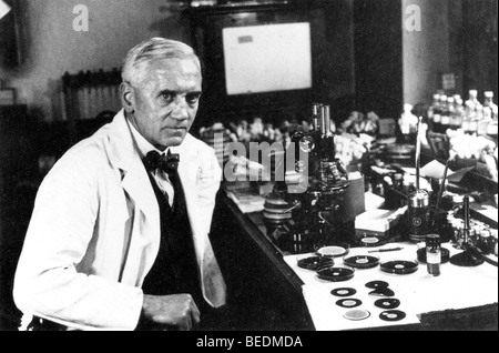 ALEXANDER FLEMING biologiste et pharmacologiste écossais (1881-1955) au St Mary's Hospital de Paddington, Londres, Banque D'Images
