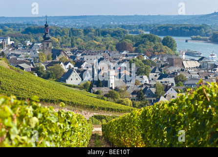 Village viticole de Ruedesheim, Rheingau, Hesse, Germany, Europe Banque D'Images