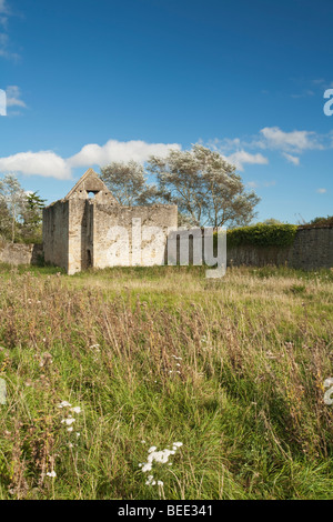 Godstow Abbaye sur les rives de la Tamise près de Oxford, UK Banque D'Images