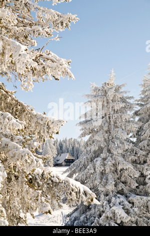 Paysage d'hiver dans la Forêt-Noire, Bade-Wurtemberg, Allemagne, Europe Banque D'Images