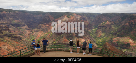 Panorama depuis le Canyon de Waimea Waimea Canyon Lookout Banque D'Images