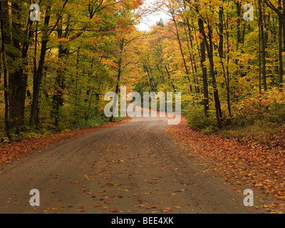 Des routes sinueuses à travers les magnifiques paysages de la nature de l'automne. Banque D'Images