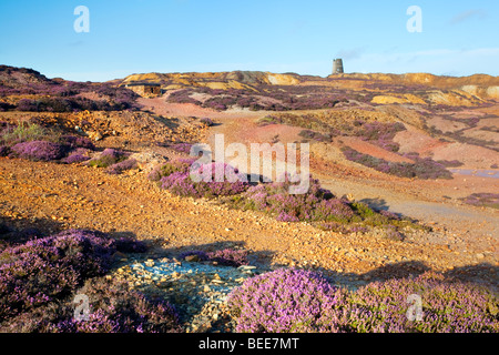 Les vestiges de la mine de cuivre de Holyhead Mountain Parys sur l'île d'Anglesey, l'ancienne mine de cuivre est maintenant une réserve naturelle du public. Banque D'Images