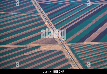 Vue aérienne de la culture en bandes Darling Downs Queensland Australie Banque D'Images