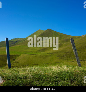 Monts Dore au col de Croix Morand, Parc naturel régional des Volcans d'Auvergne, Puy de Dome, Auvergne, France Banque D'Images