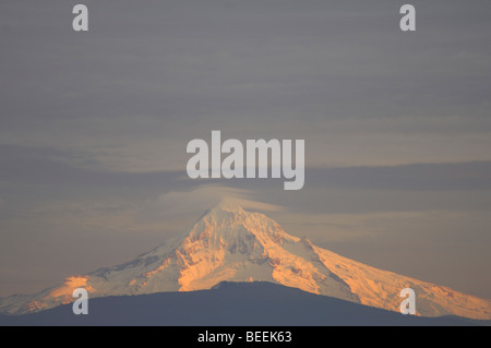 Mont Hood Banque D'Images