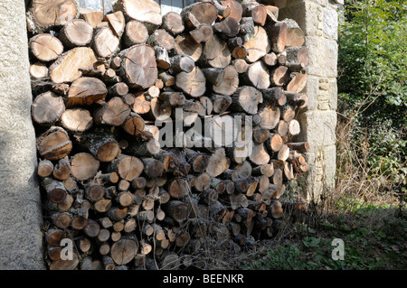 Une pile de séchage du bois Banque D'Images