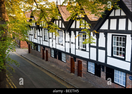 Les neuf maisons au début de l'automne, Park Street, Chester, Cheshire, Angleterre, RU Banque D'Images