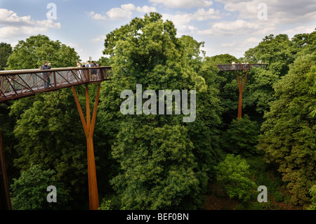 Vue de la passerelle dans la cime des Xtrata Kew Gardens. Banque D'Images