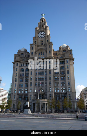 Royal Liver Building l'une des trois grâces liverpools bâtiments classés sur le front de mer de Liverpool à pier head Banque D'Images