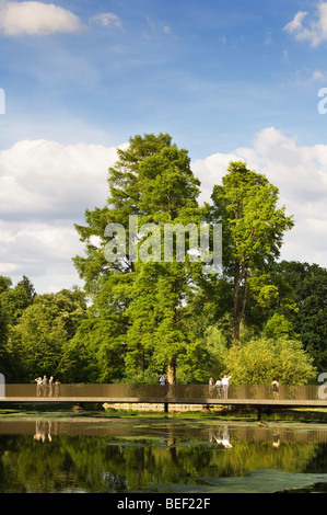 Vue de la Sackler Crossing sur le lac à Kew Gardens. Banque D'Images