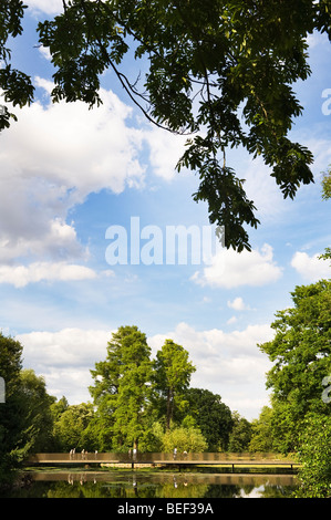 Vue de la Sackler Crossing sur le lac à Kew Gardens. Banque D'Images