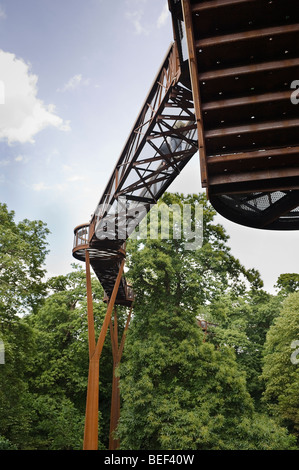 Vue de la passerelle dans la cime des Xtrata Kew Gardens. Banque D'Images