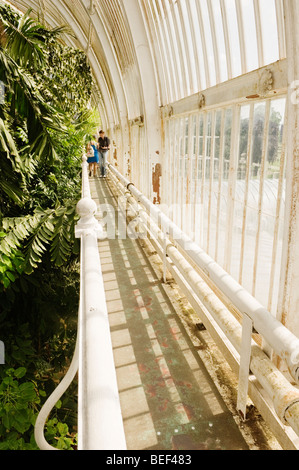 L'intérieur du Palm House à Kew Gardens. Banque D'Images
