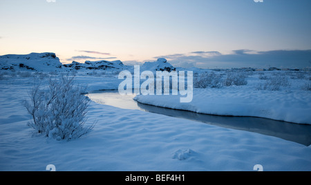 L'hiver, le lac Ellidavatn, Reykjavik Islande Banque D'Images