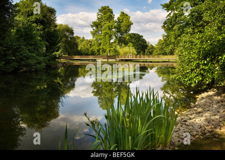 Vue de la Sackler Crossing sur le lac à Kew Gardens. Banque D'Images