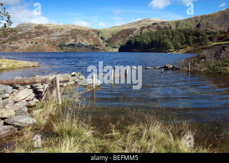 Au niveau d'inondation Haweswater et la vue vers l'Est de l'embouchure commune Mardale d Riggindale Beck Lake District UK Banque D'Images