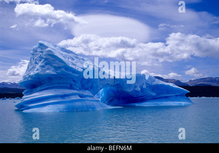 Les icebergs près de glacier Upsala. Lago Argentino. Le Parc National Los Glaciares. Province de Santa Cruz. La Patagonie. L'Argentine. Banque D'Images